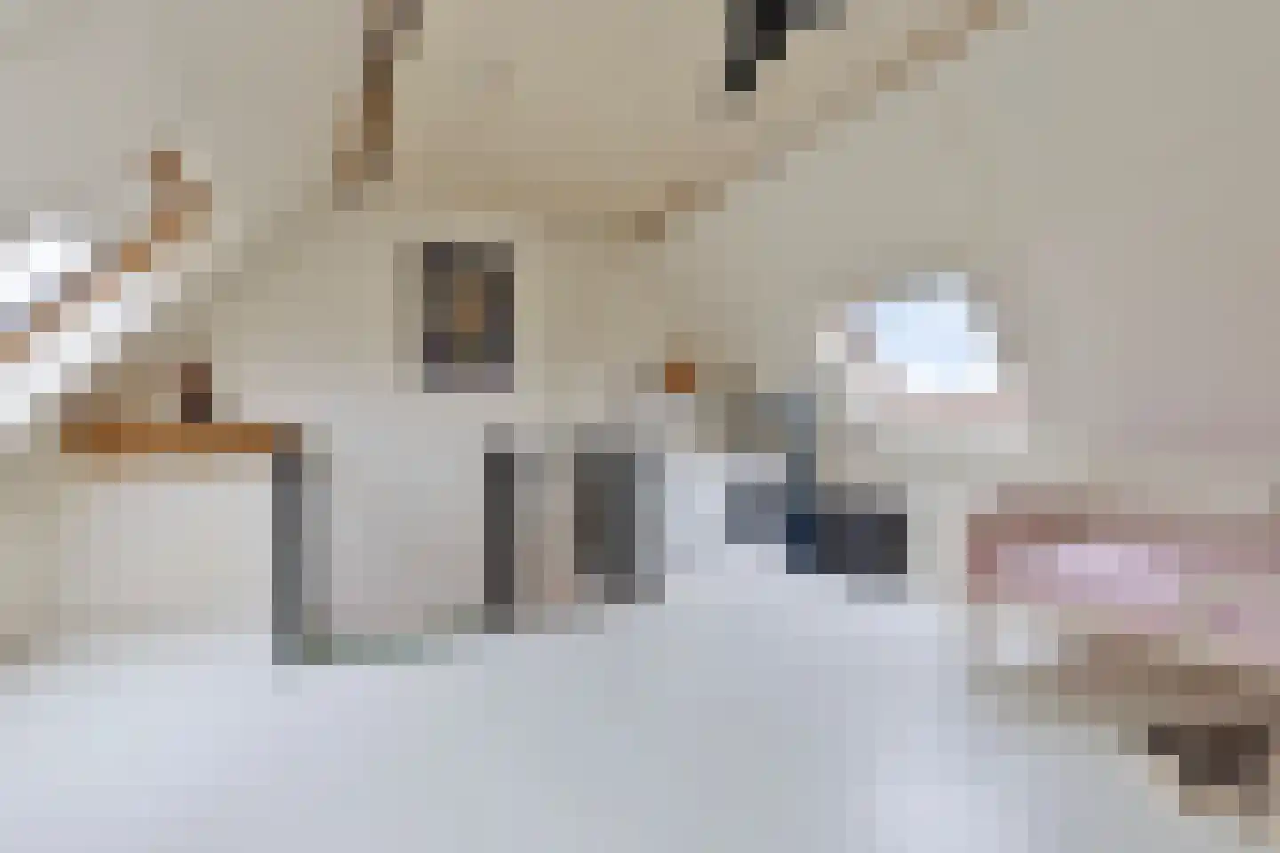 Da Palestrinastraat 87 Purmerend thumbnail 25