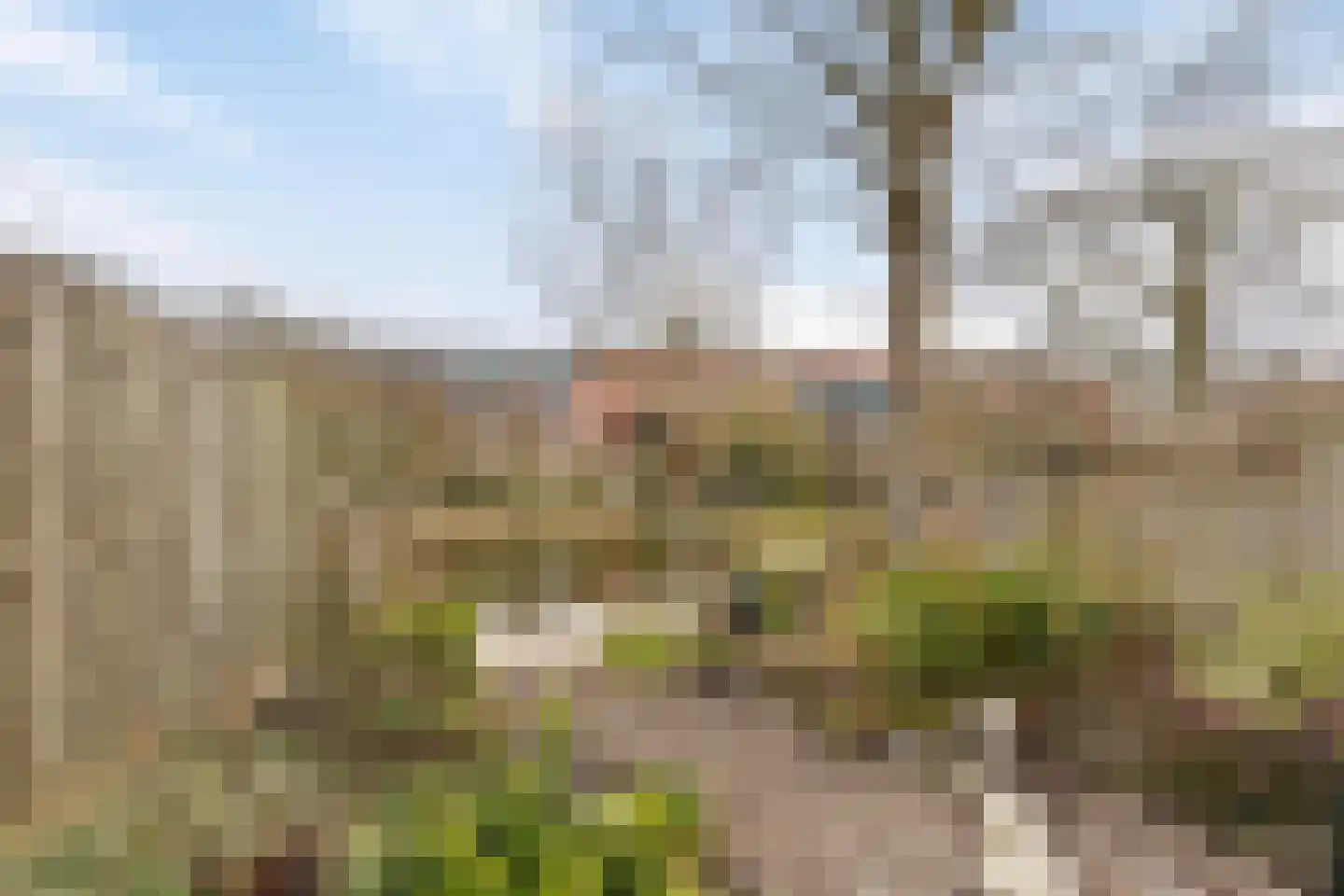 Da Palestrinastraat 87 Purmerend thumbnail 26