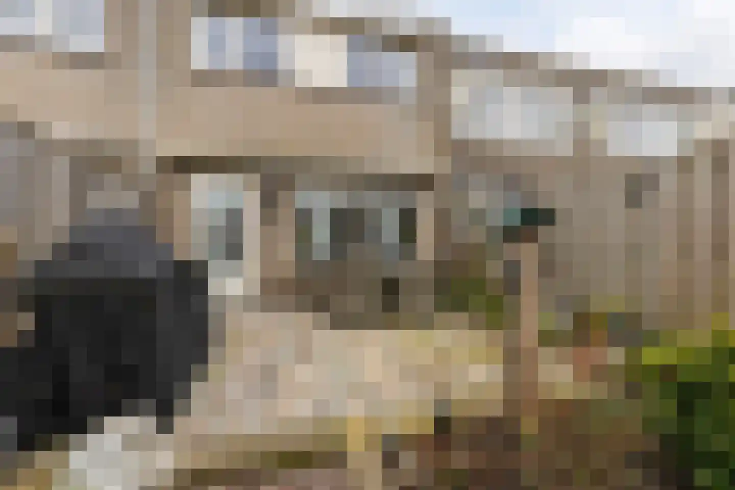 Da Palestrinastraat 87 Purmerend thumbnail 27