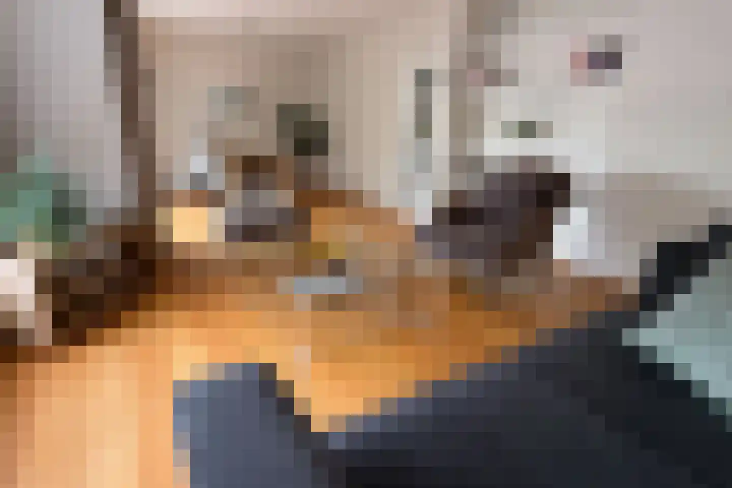 Daal en Bergselaan 14 Den Haag thumbnail 15