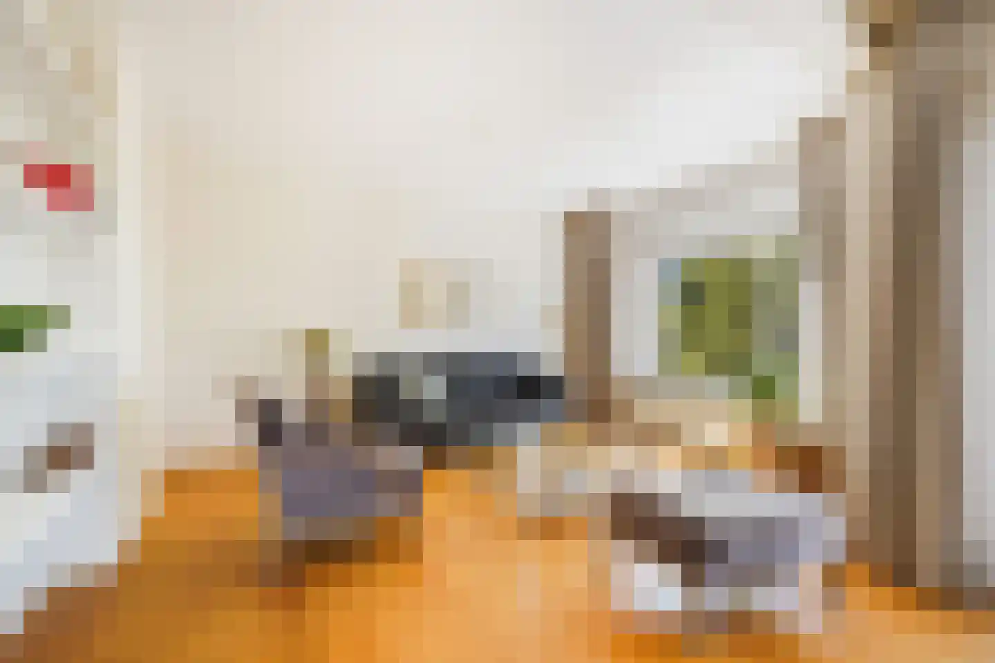 Daal en Bergselaan 14 Den Haag thumbnail 18