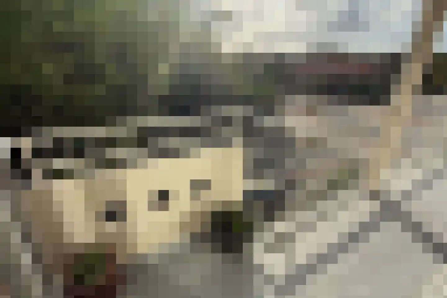 Daal en Bergselaan 14 Den Haag thumbnail 35