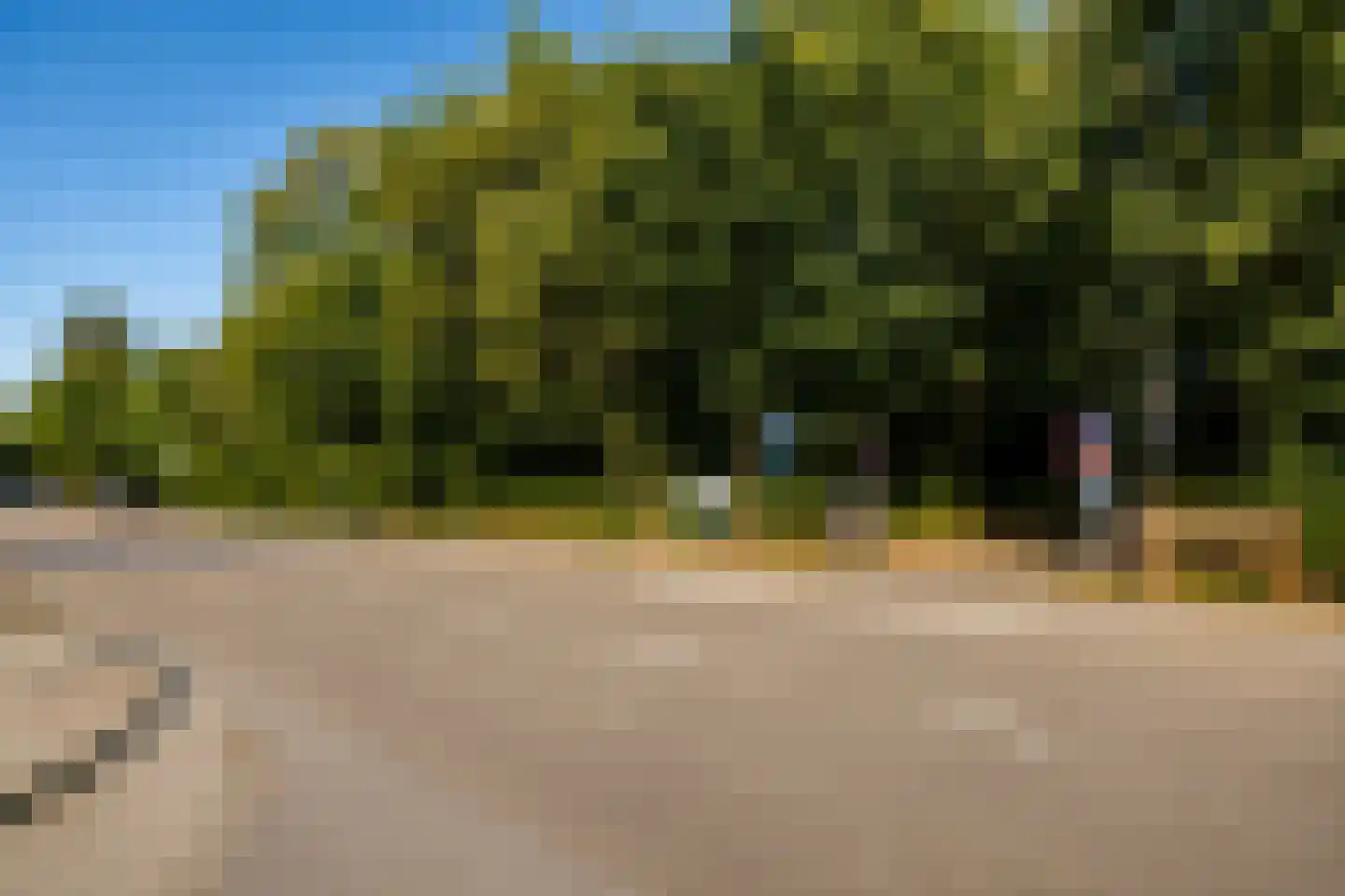 Daal en Bergselaan 14 Den Haag thumbnail 36
