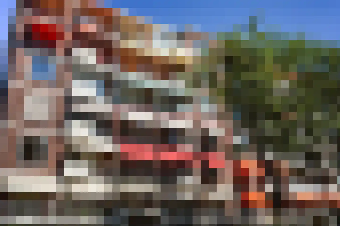 Daal en Bergselaan 14 Den Haag thumbnail 4
