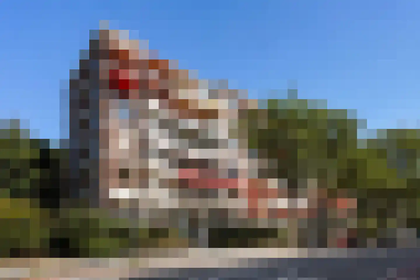 Daal en Bergselaan 14 Den Haag thumbnail 5