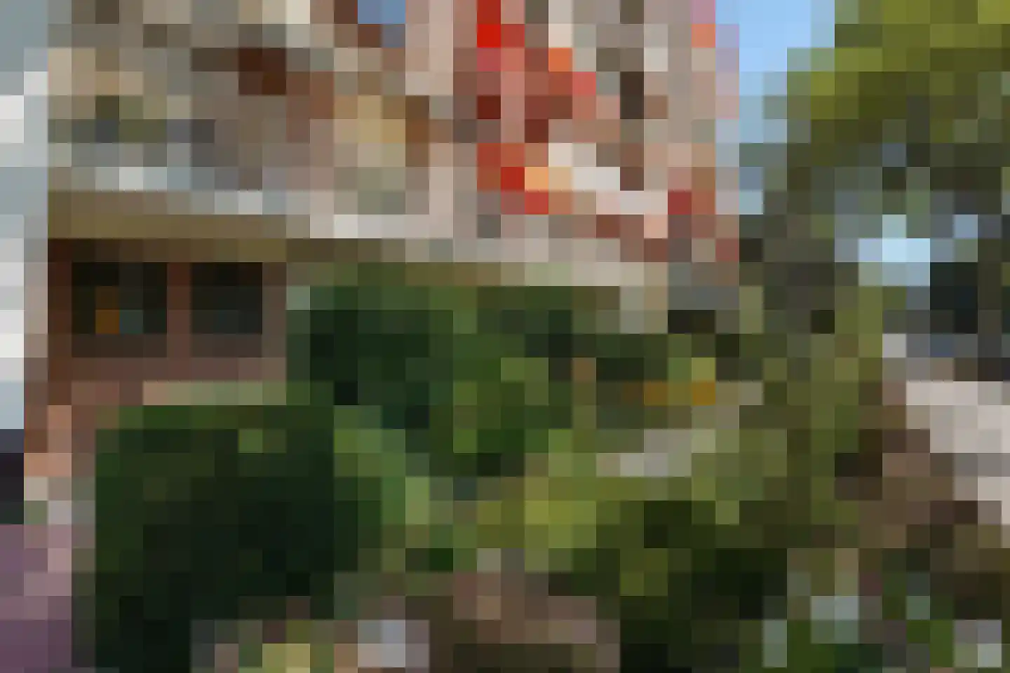 Daal en Bergselaan 14 Den Haag thumbnail 8