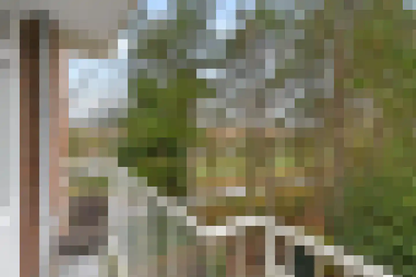 Daal en Bergselaan 4 Den Haag thumbnail 25