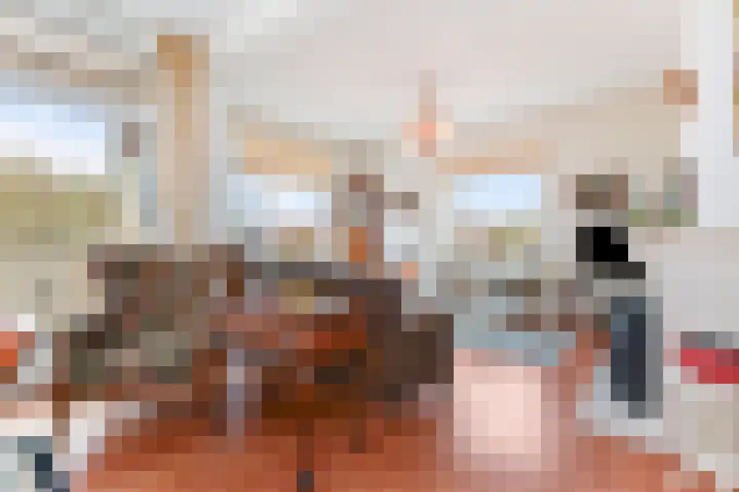 Daal en Bergselaan 4 Den Haag thumbnail 7
