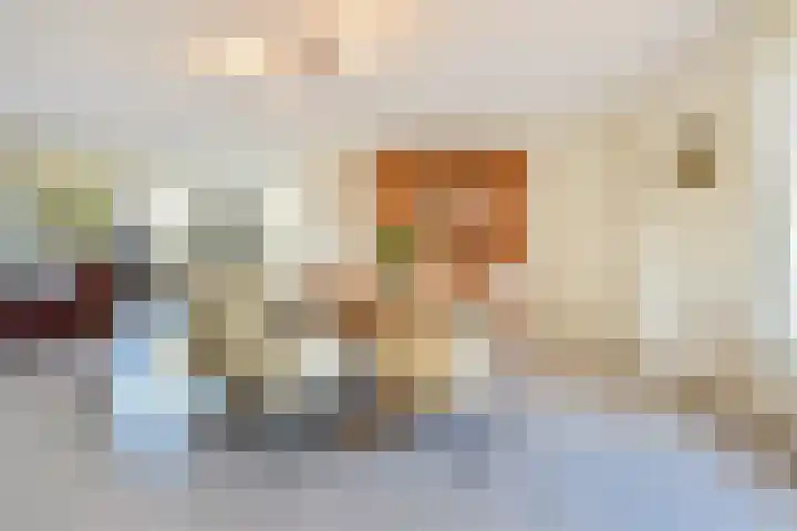 Daal en Bergselaan 54 G Den Haag thumbnail 10