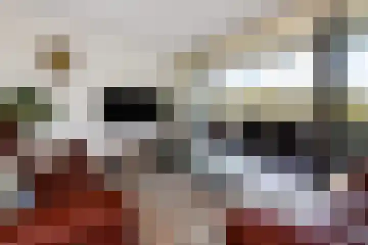 Daal en Bergselaan 54 G Den Haag thumbnail 12