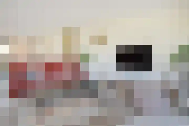 Daal en Bergselaan 54 G Den Haag thumbnail 14