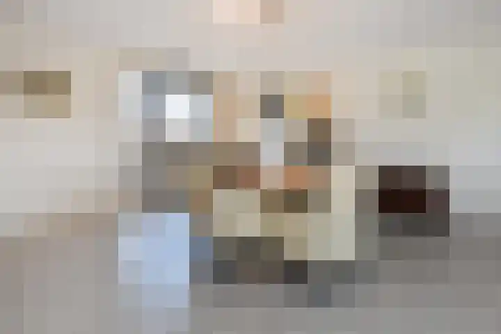 Daal en Bergselaan 54 G Den Haag thumbnail 18