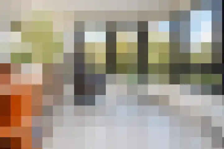 Daal en Bergselaan 54 G Den Haag thumbnail 4