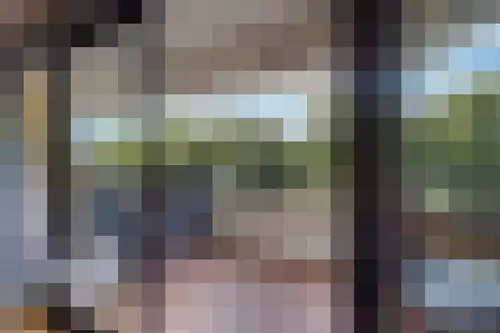 Daal en Bergselaan 54 K Den Haag thumbnail 12