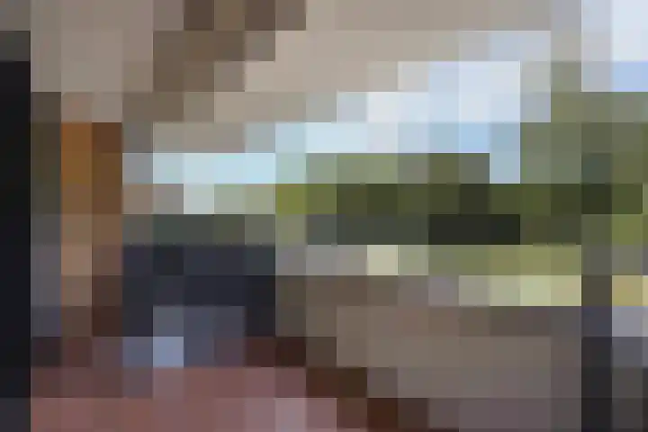 Daal en Bergselaan 54 K Den Haag thumbnail 13