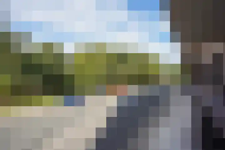 Daal en Bergselaan 54 K Den Haag thumbnail 15