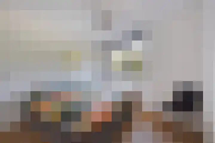 Daal en Bergselaan 54 K Den Haag thumbnail 29