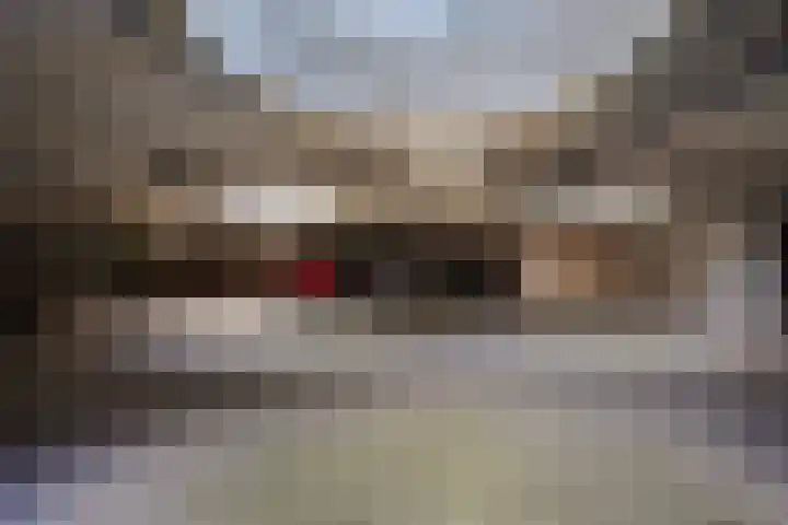 Daal en Bergselaan 54 K Den Haag thumbnail 37