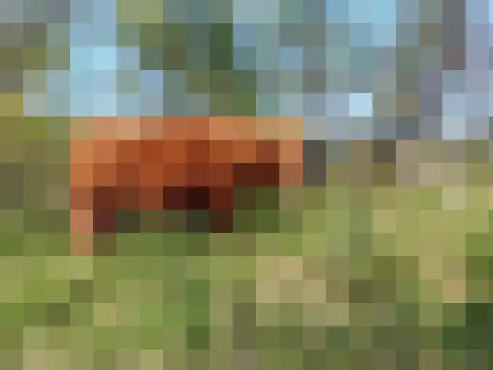 Daal en Bergselaan 54 K Den Haag thumbnail 40