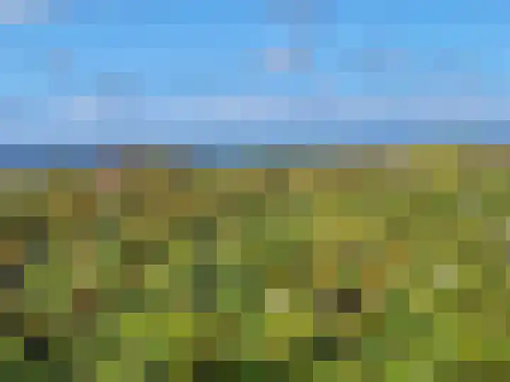 Daal en Bergselaan 54 K Den Haag thumbnail 41