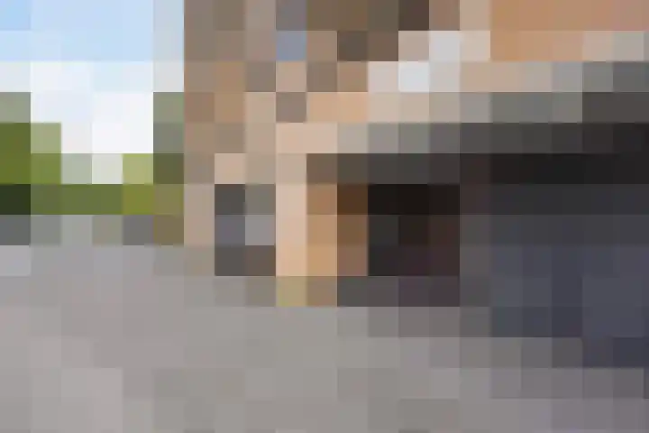 Daal en Bergselaan 54 K Den Haag thumbnail 5