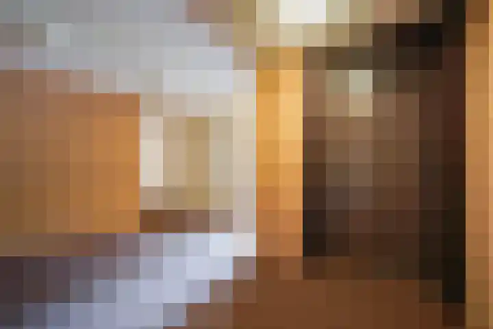 Daal en Bergselaan 54 K Den Haag thumbnail 6