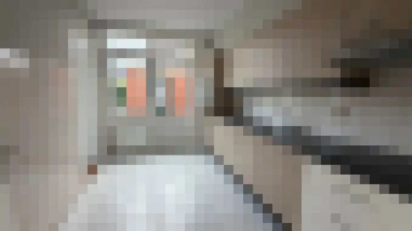 Daalakkers 6 Enter thumbnail 13