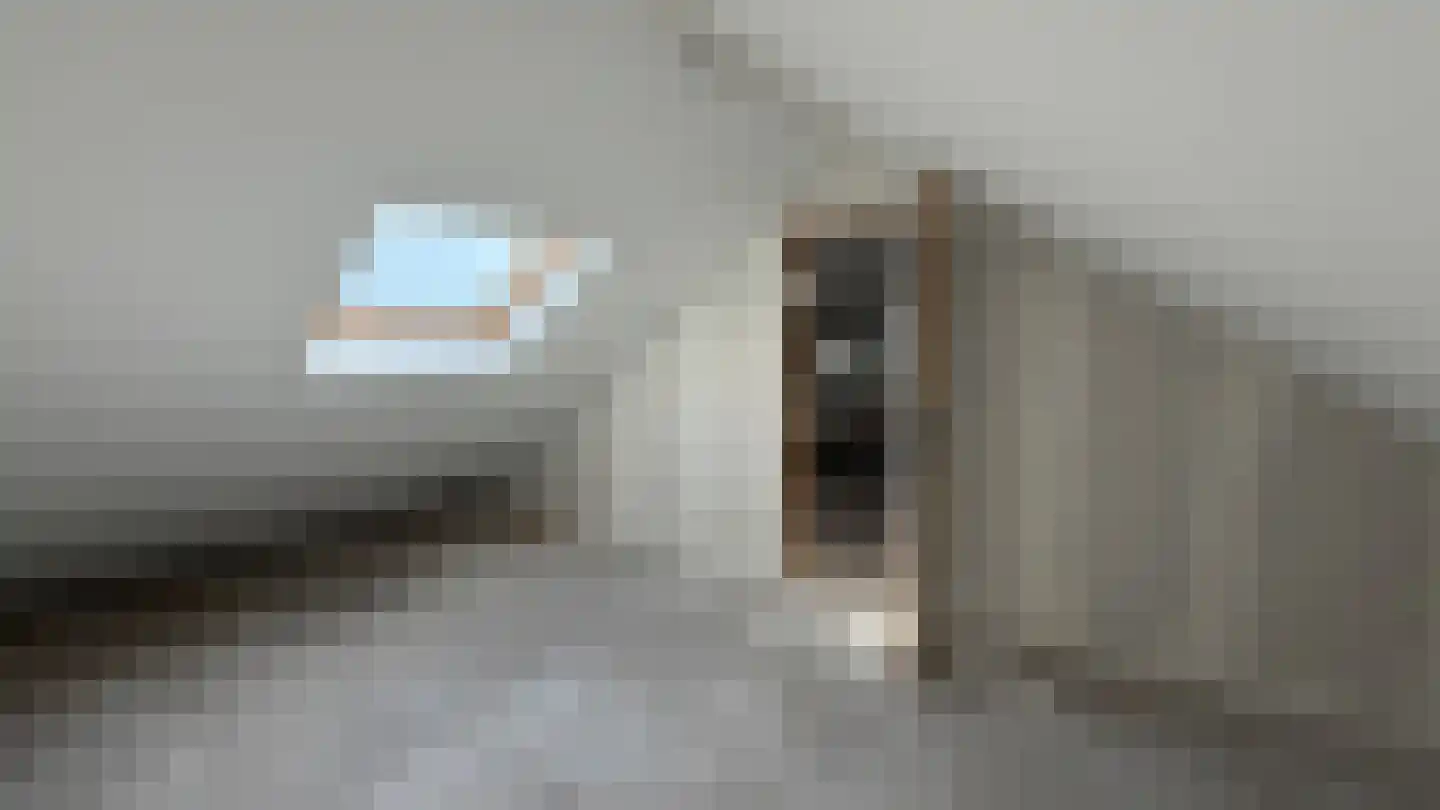 Daalakkers 6 Enter thumbnail 28