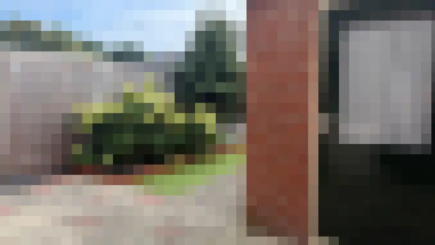 Daalakkers 6 Enter thumbnail 36