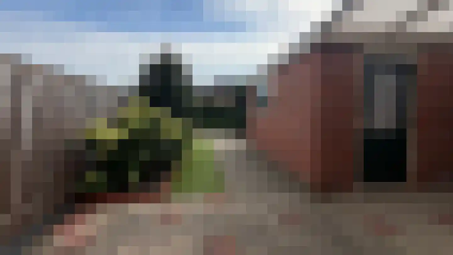 Daalakkers 6 Enter thumbnail 6