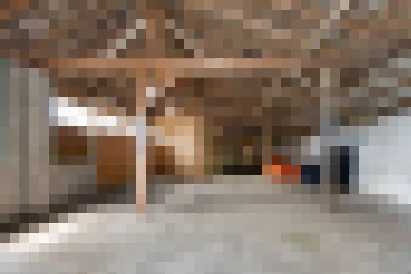 Daalakkerstraat 13 Ittervoort thumbnail 30