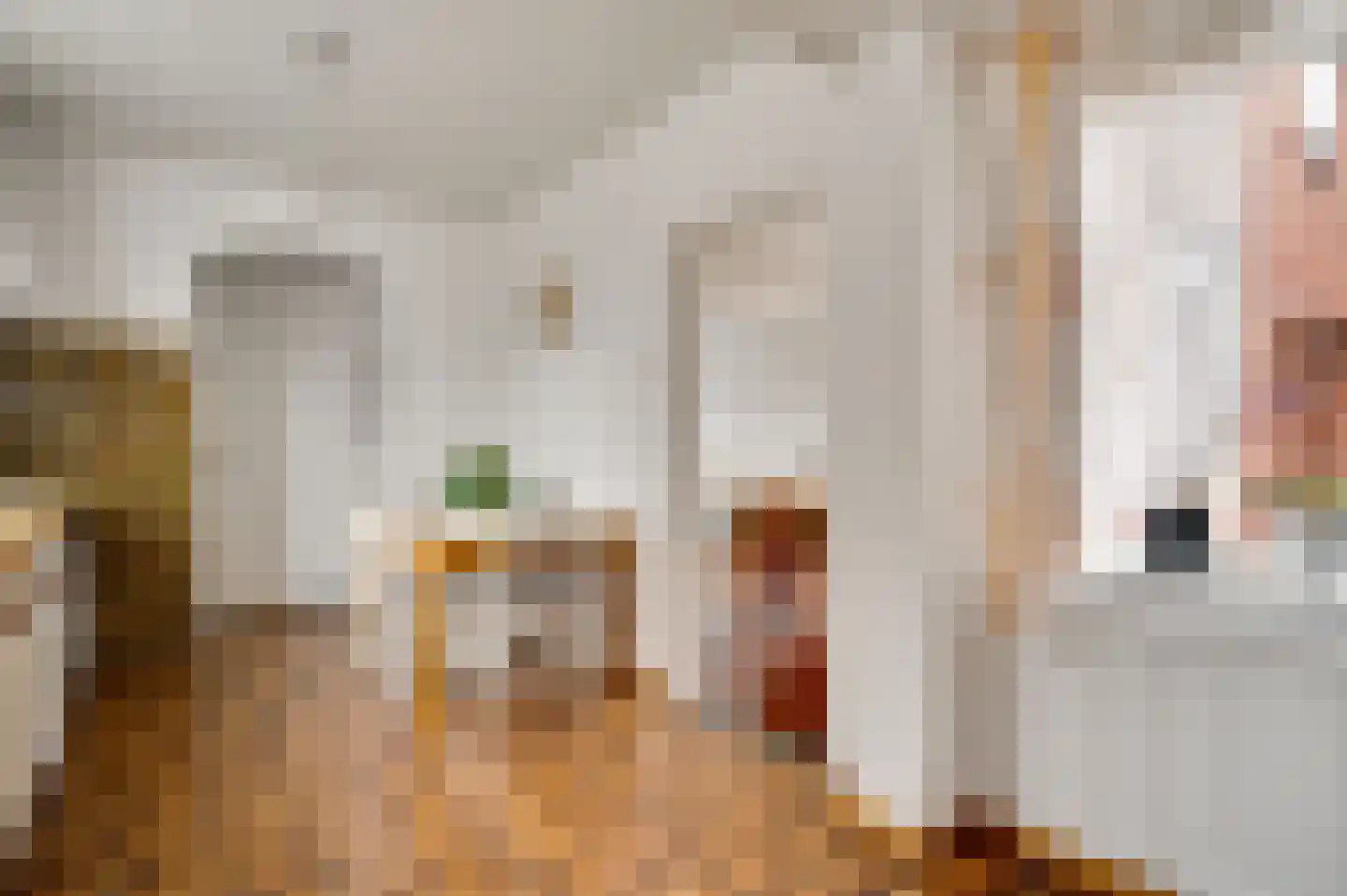 Daalakkerstraat 22 Ittervoort thumbnail 13