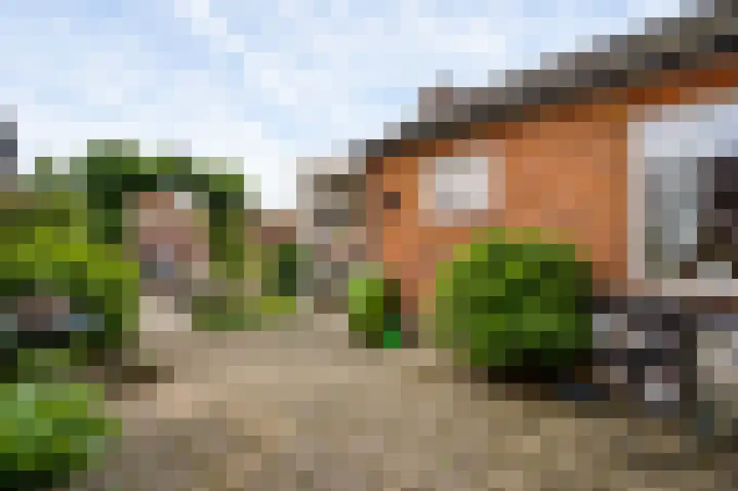 Daalakkerstraat 22 Ittervoort thumbnail 27