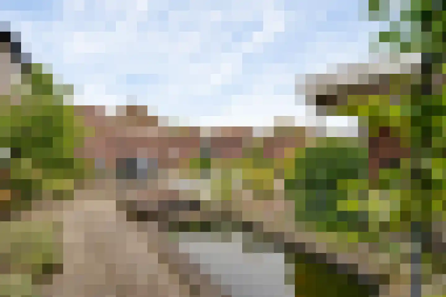 Daalakkerstraat 22 Ittervoort thumbnail 4