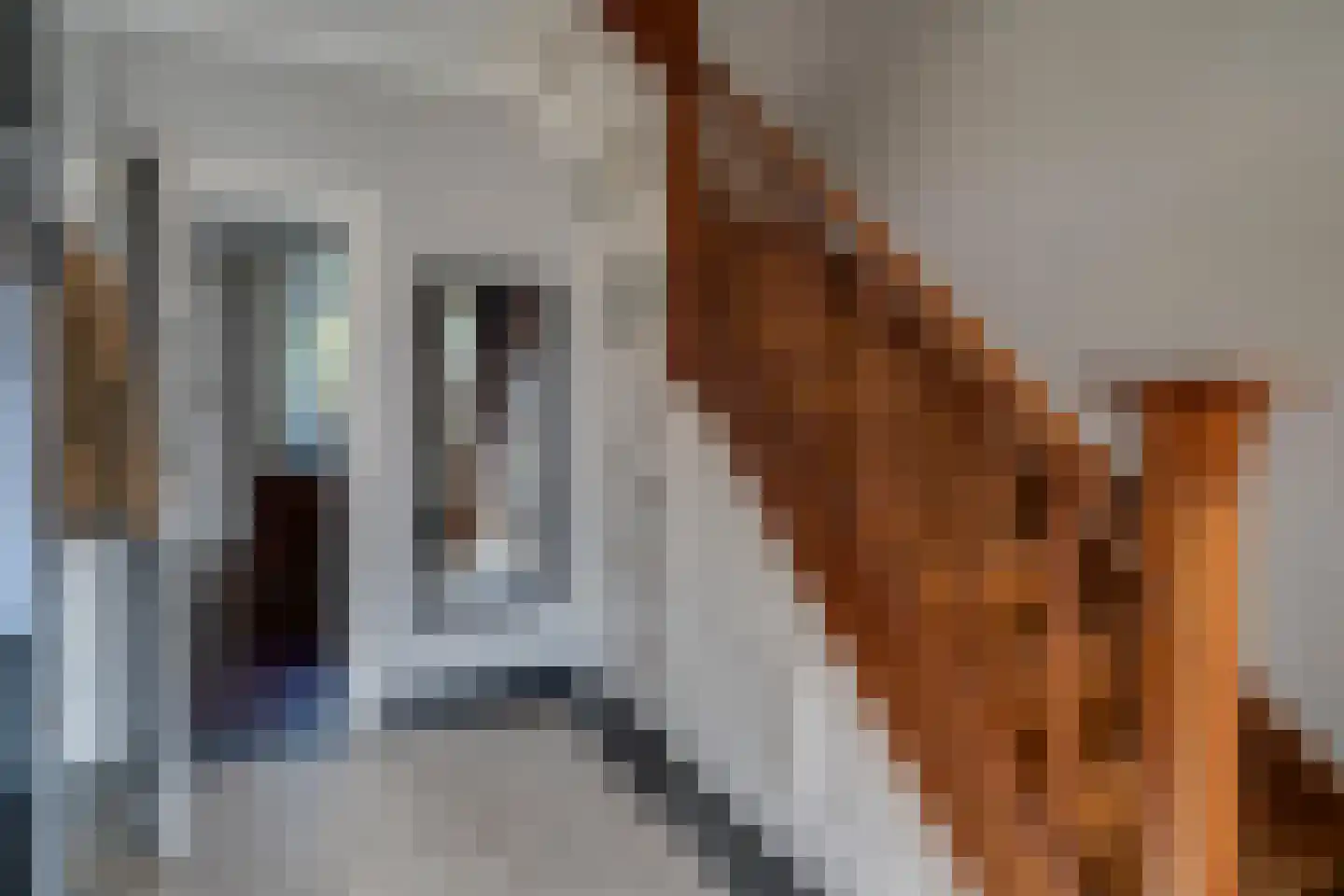 Daalakkerstraat 4 Horn thumbnail 25
