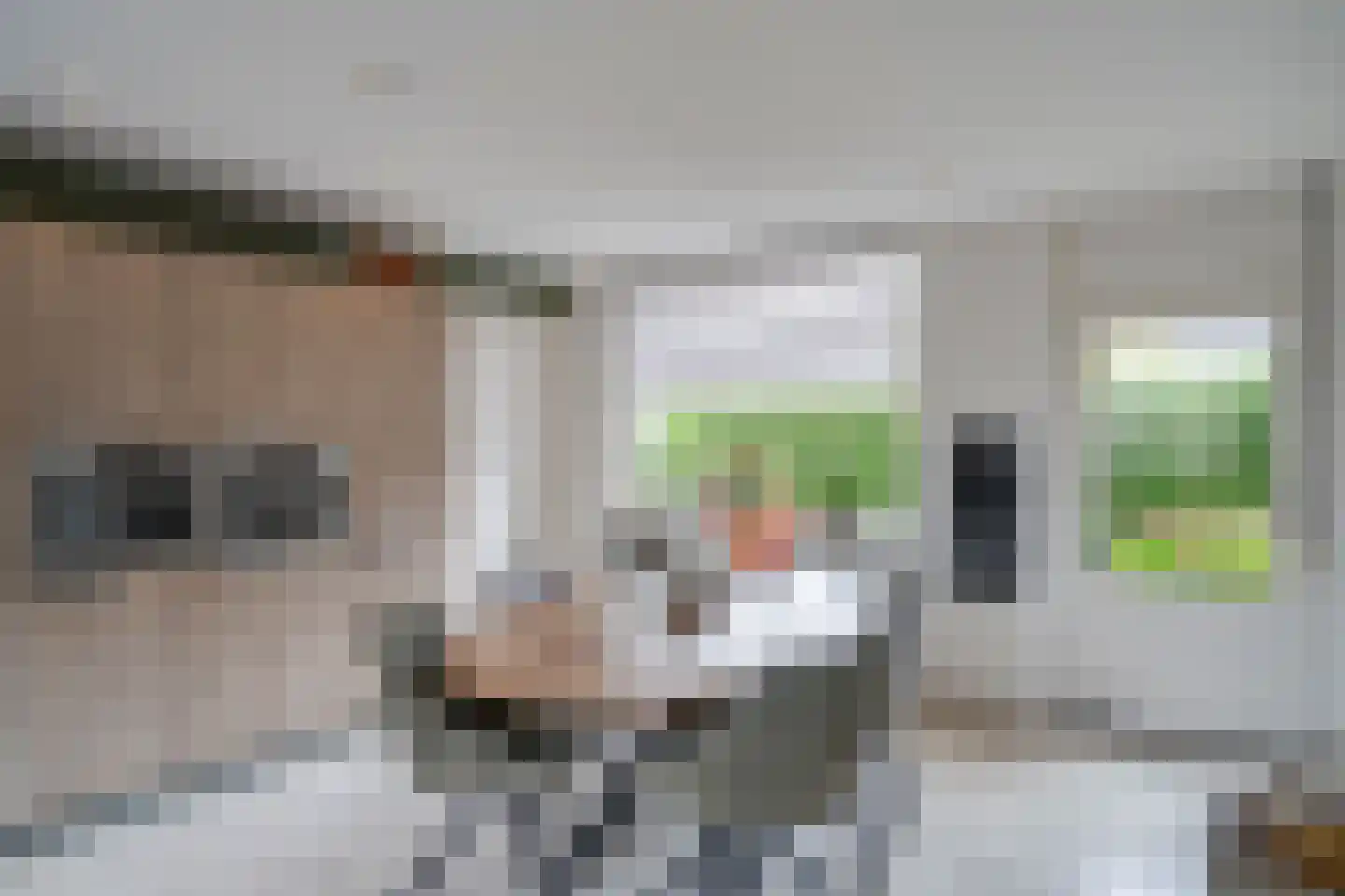 Daalakkerstraat 4 Horn thumbnail 41