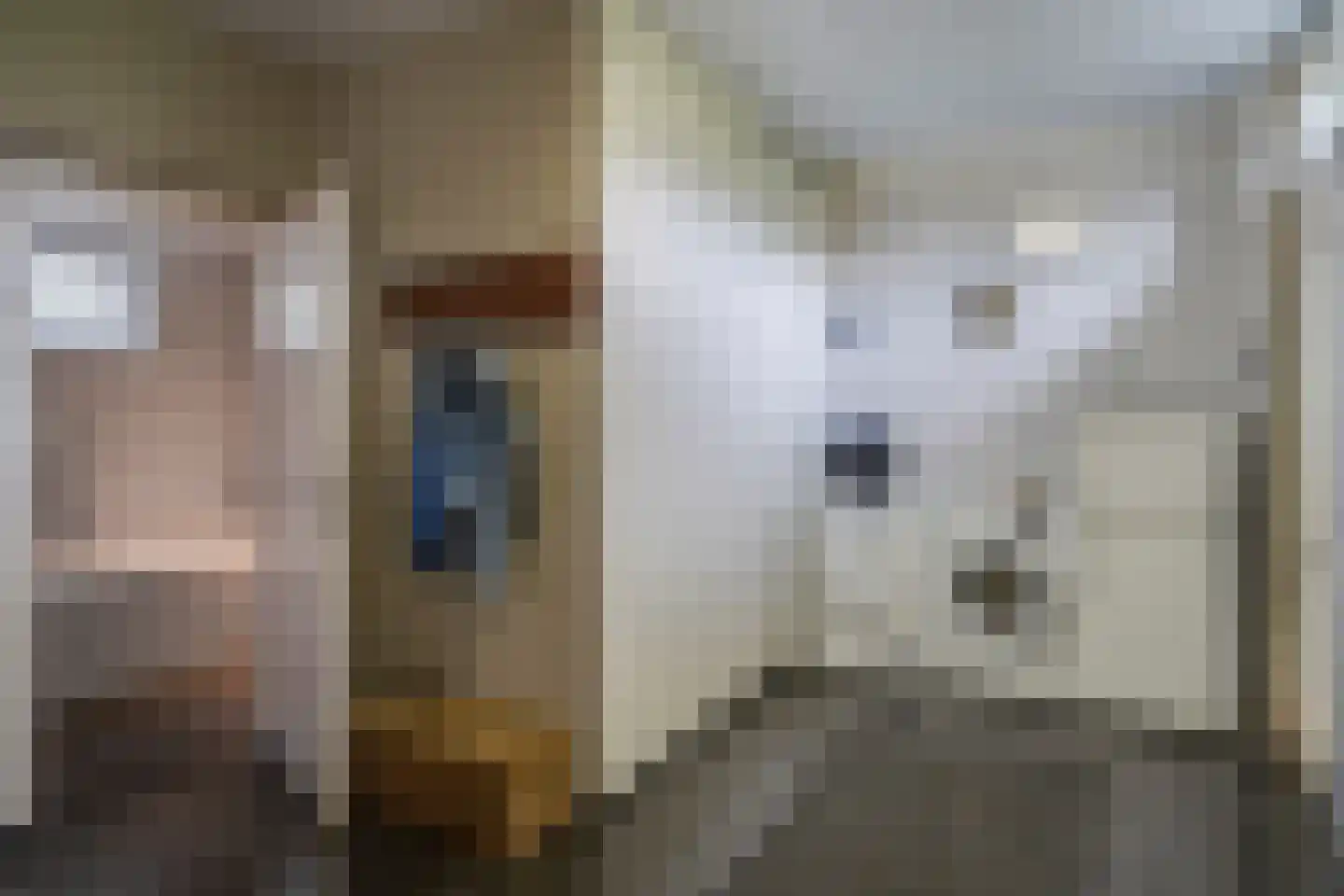Daalakkerstraat 4 Horn thumbnail 45