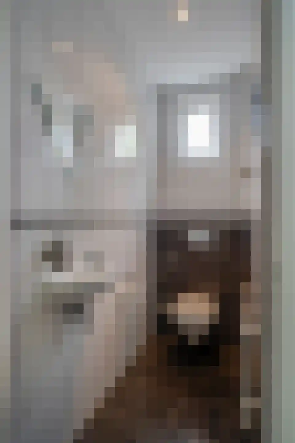 Daalakkerstraat 4 Horn thumbnail 47
