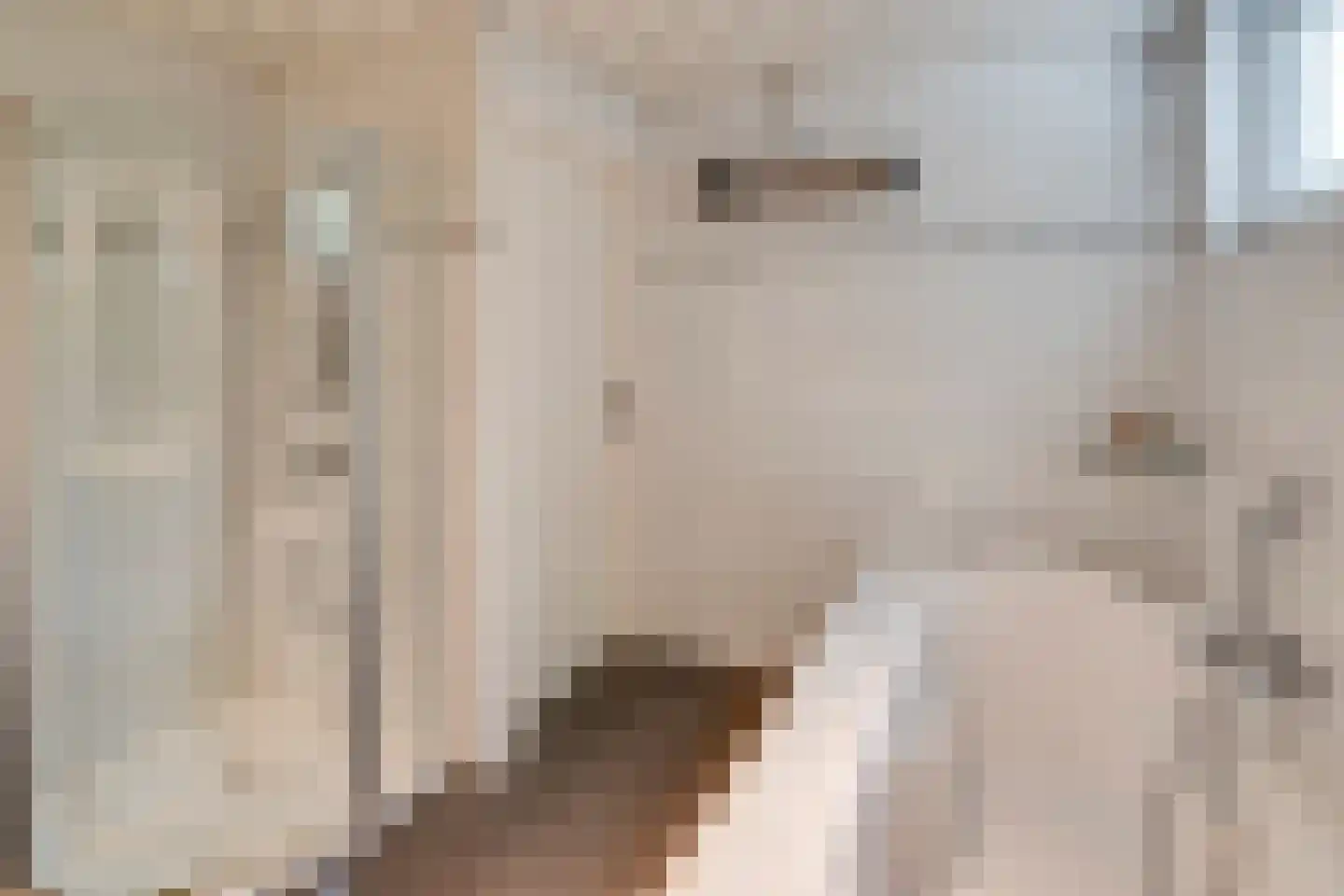 Daalakkerstraat 4 Horn thumbnail 50