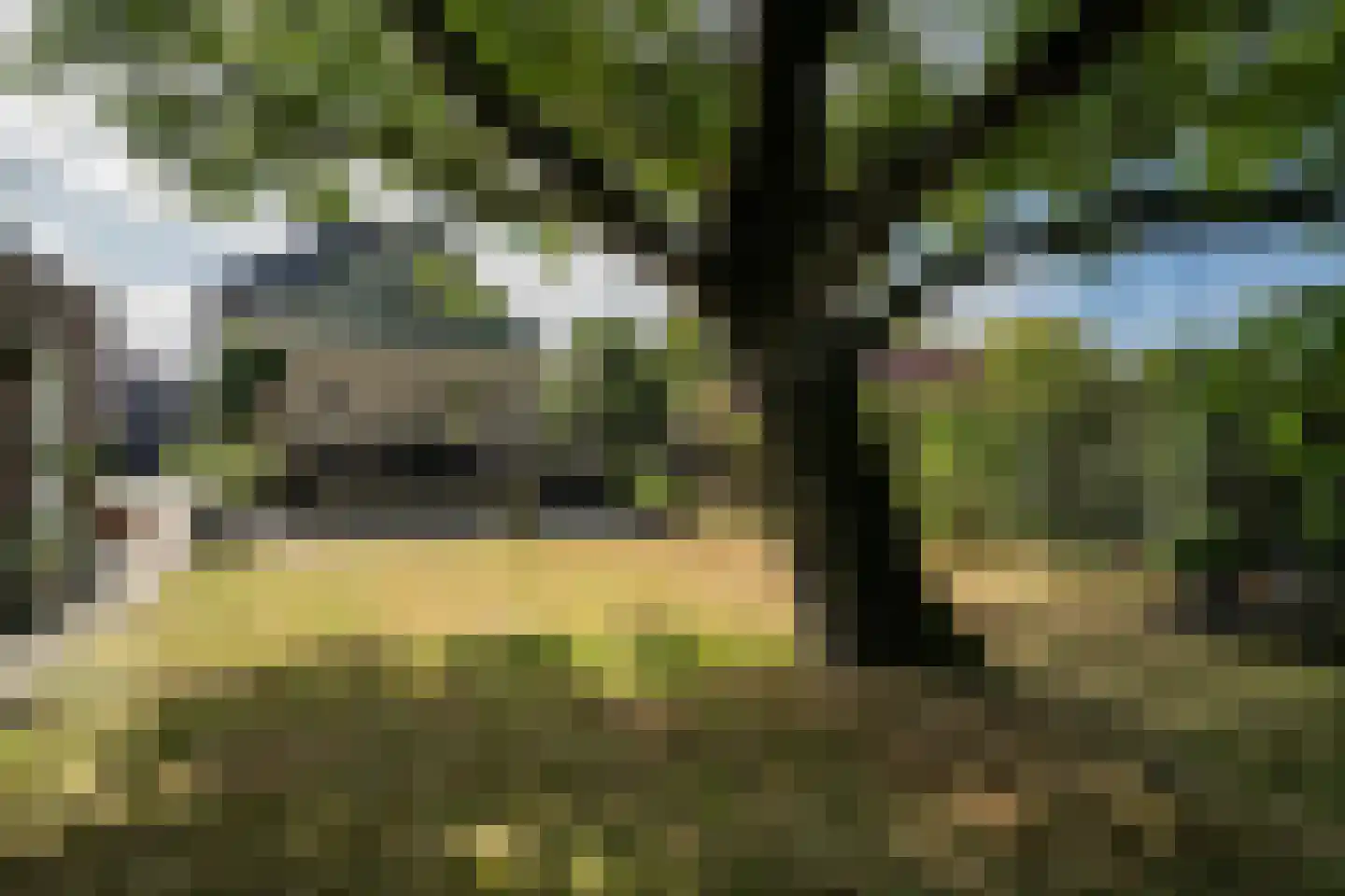 Daalakkerstraat 4 Horn thumbnail 76