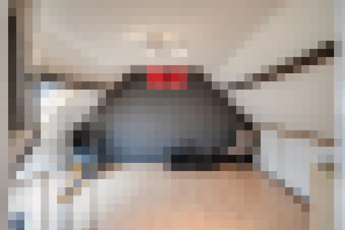 Daalakkerstraat 4 Horn thumbnail 91