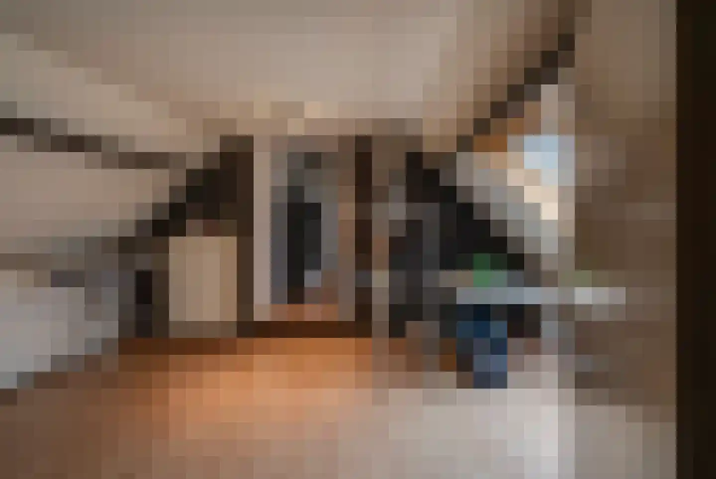 Daalakkerstraat 4 Horn thumbnail 93