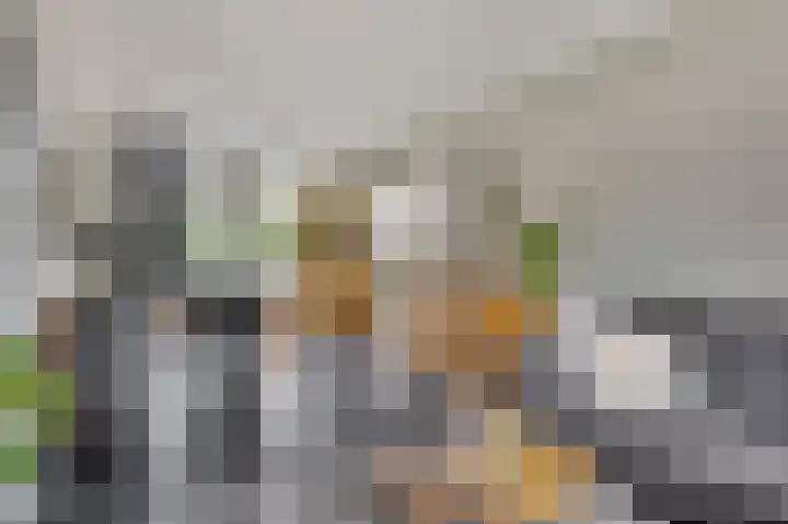 Daalakkerweg 53 Roermond thumbnail 8