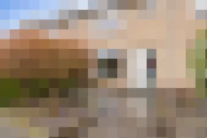 Daalder 9 Mijdrecht thumbnail 30