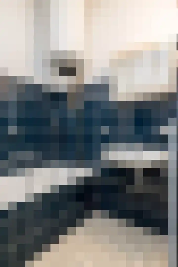 Daalderhaag 17 Nieuwstadt thumbnail 18