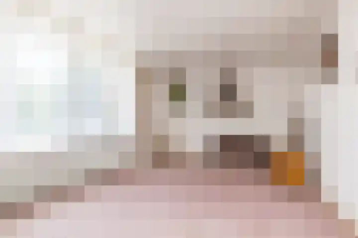 Daalderhaag 17 Nieuwstadt thumbnail 7