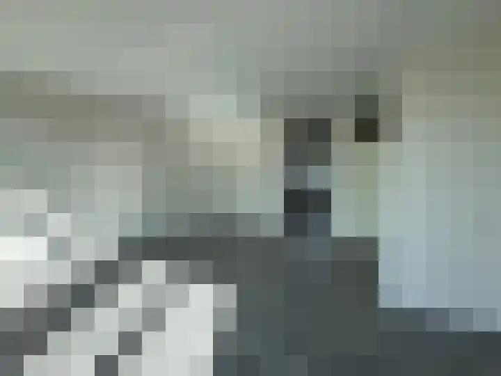 Daalderhof 17 Valkenswaard thumbnail 4