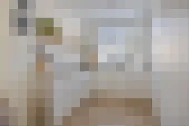 Daalderhof 3 Valkenswaard thumbnail 14