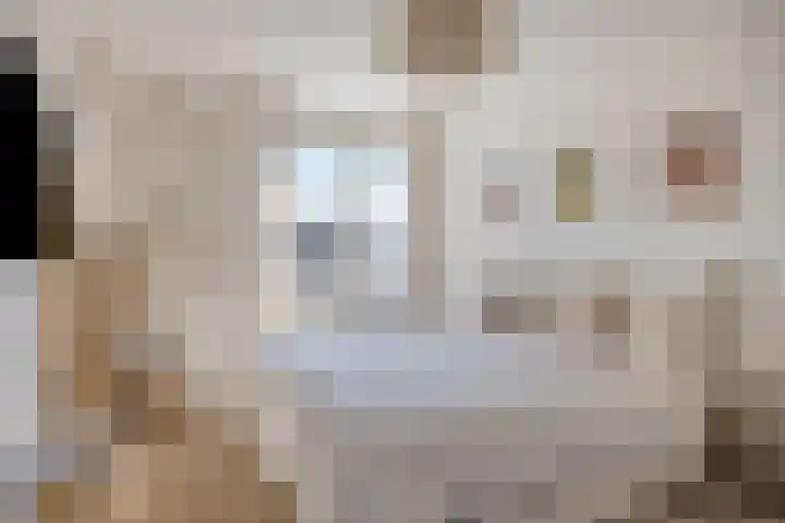 Daalderhof 3 Valkenswaard thumbnail 16