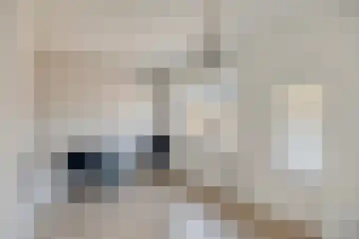 Daalderhof 3 Valkenswaard thumbnail 20